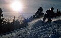 Late afternoon sun at Wintergreen, Alberta. February, 2000.